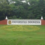 international university