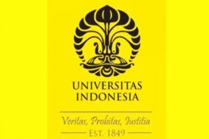 International university